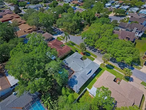 214 Nestlebranch Drive Safety Harbor FL 34695
