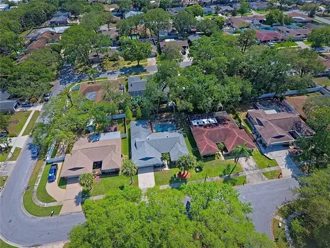214 Nestlebranch Drive Safety Harbor FL 34695