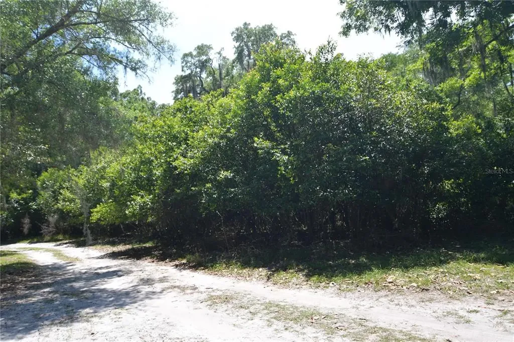 SW 64th Avenue Bushnell FL 33513