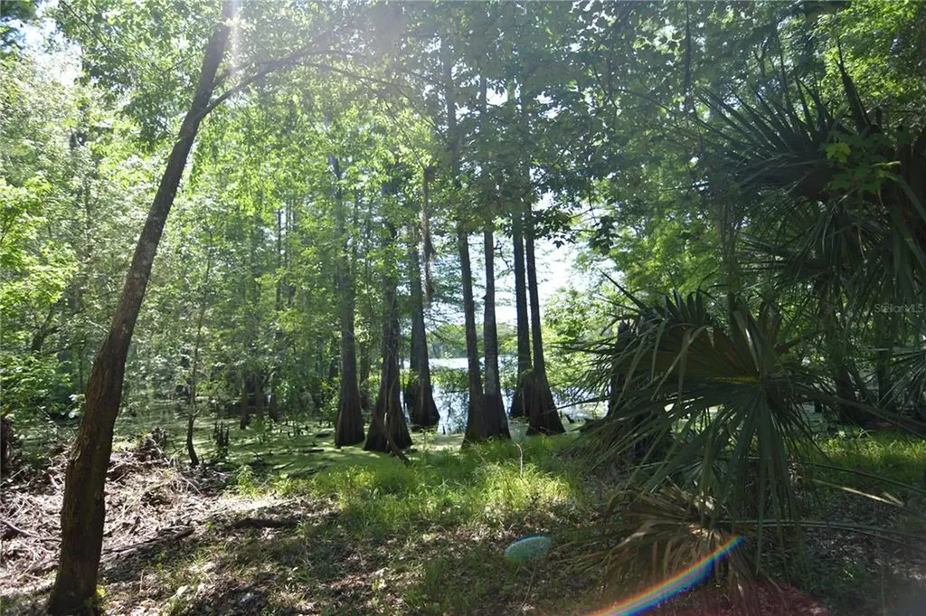 SW 64th Avenue Bushnell FL 33513