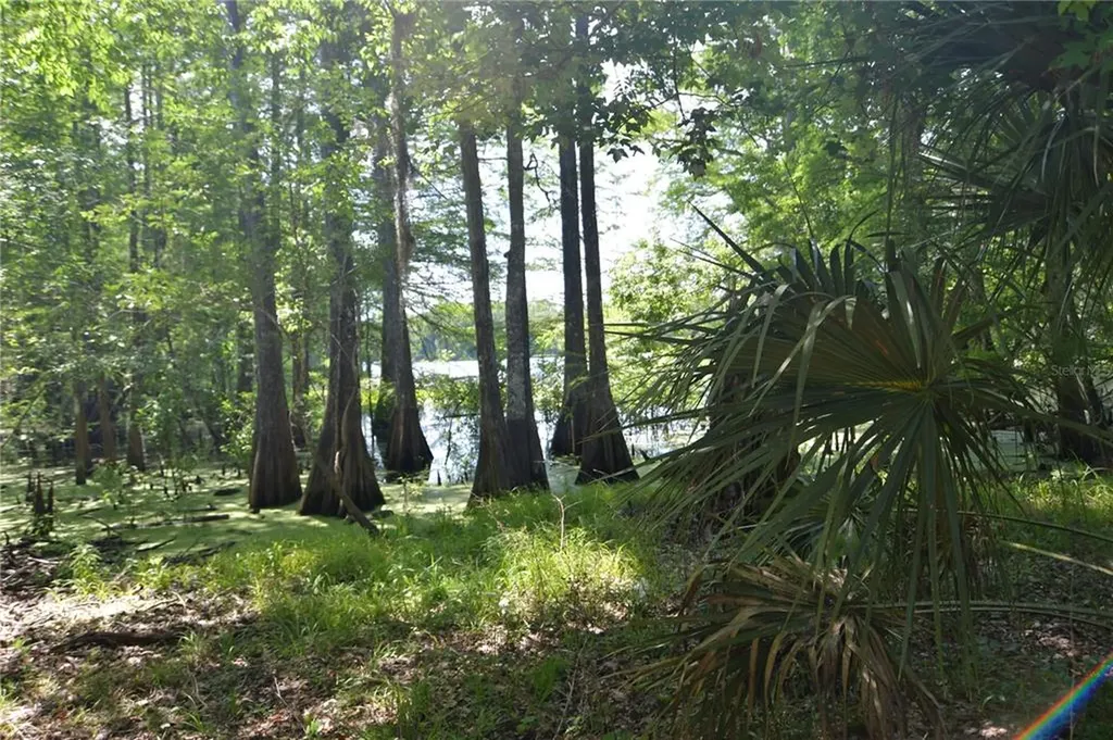 SW 64th Avenue Bushnell FL 33513