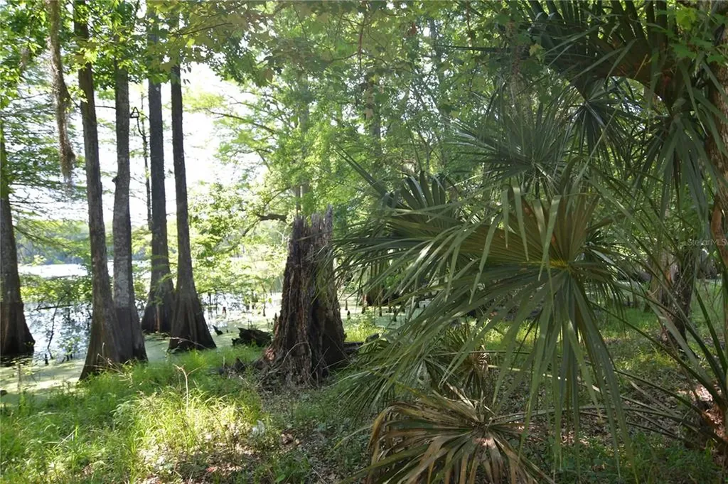 SW 64th Avenue Bushnell FL 33513