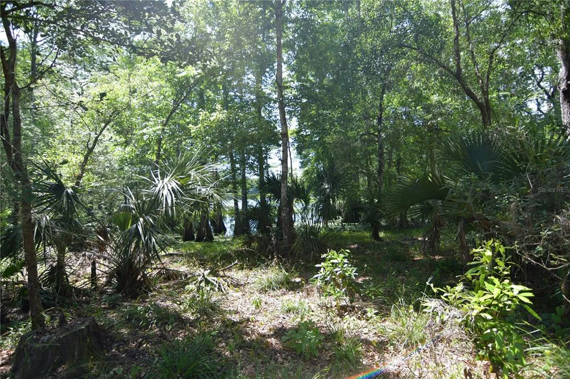 SW 64th Avenue Bushnell FL 33513