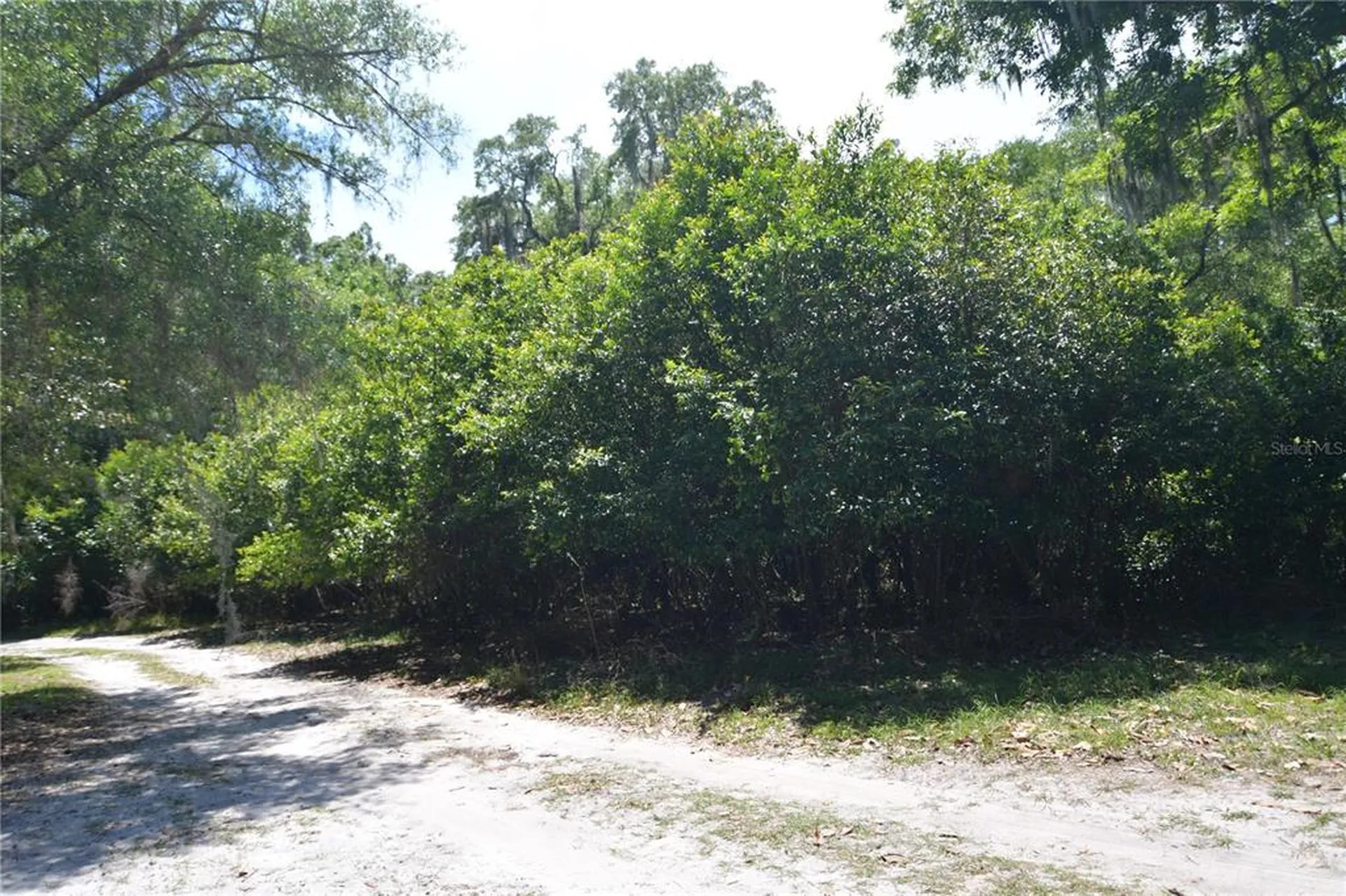 SW 64th Avenue Bushnell FL 33513