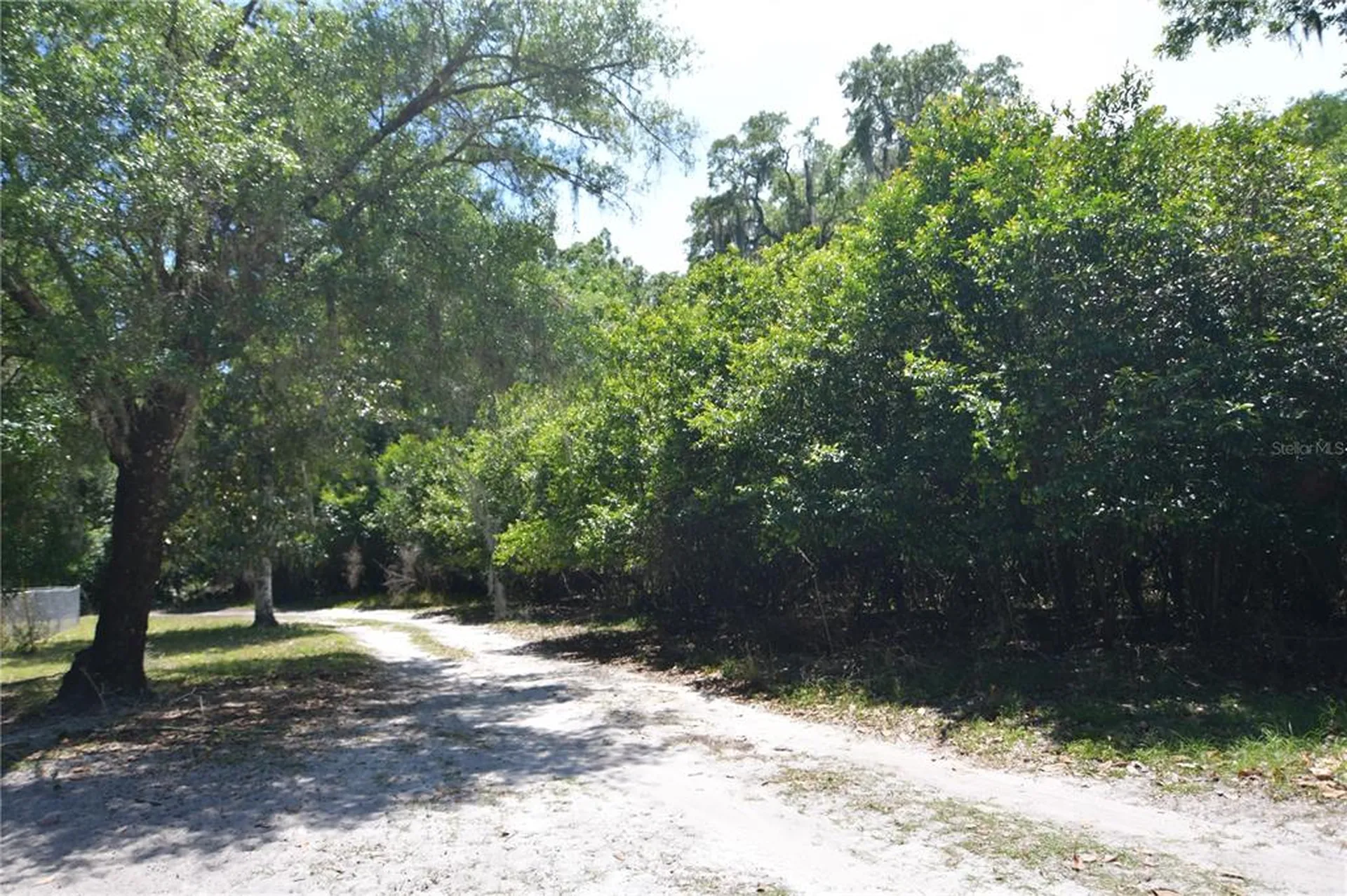 SW 64th Avenue Bushnell FL 33513