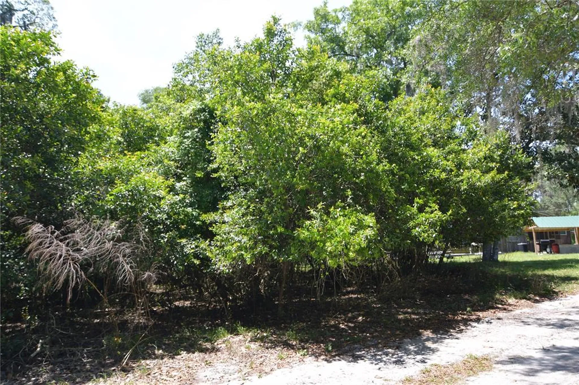SW 64th Avenue Bushnell FL 33513