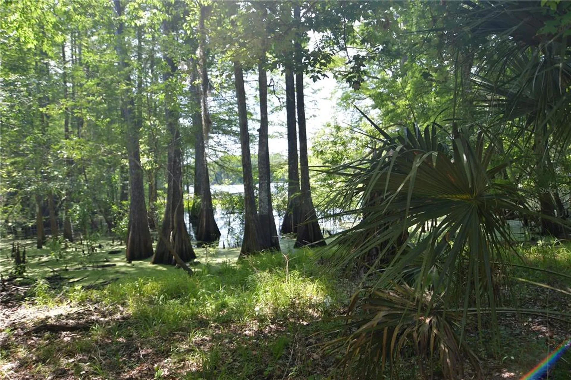 SW 64th Avenue Bushnell FL 33513