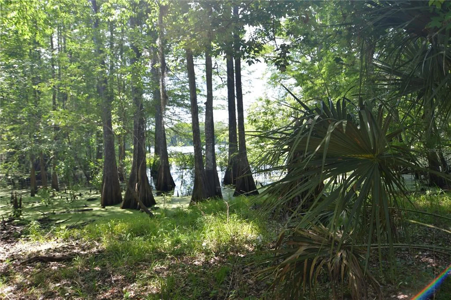 SW 64th Avenue Bushnell FL 33513