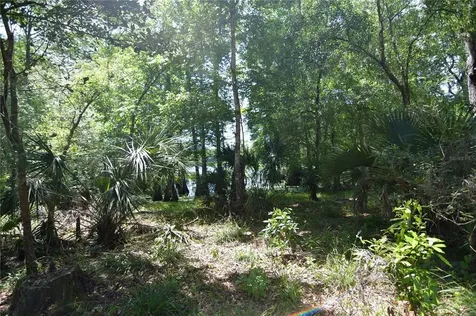 SW 64th Avenue Bushnell FL 33513
