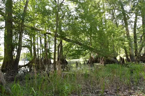 SW 64th Avenue Bushnell FL 33513