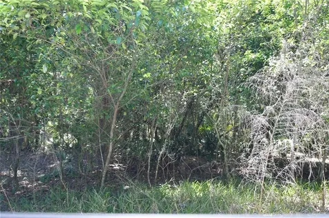 SW 64th Avenue Bushnell FL 33513