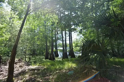SW 64th Avenue Bushnell FL 33513