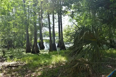 SW 64th Avenue Bushnell FL 33513