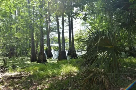 SW 64th Avenue Bushnell FL 33513