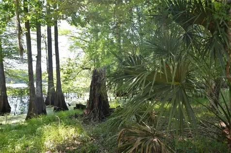 SW 64th Avenue Bushnell FL 33513