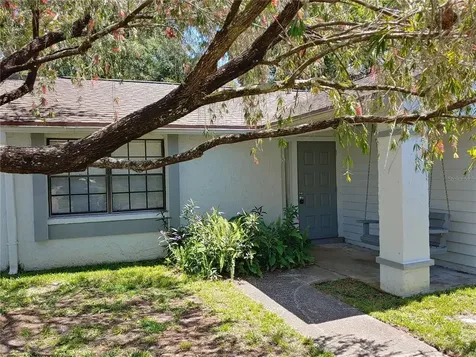 16011 Grass Lake Drive Tampa FL 33618