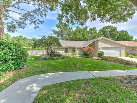 3405 Brookshire Court Tampa FL 33618