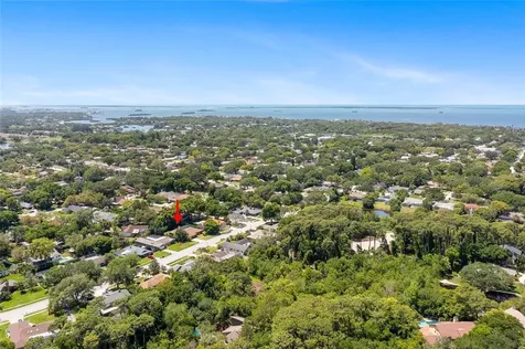 1314 Eniswood Parkway Palm Harbor FL 34683