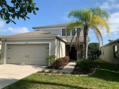 31329 Triborough Drive Wesley Chapel FL 33545