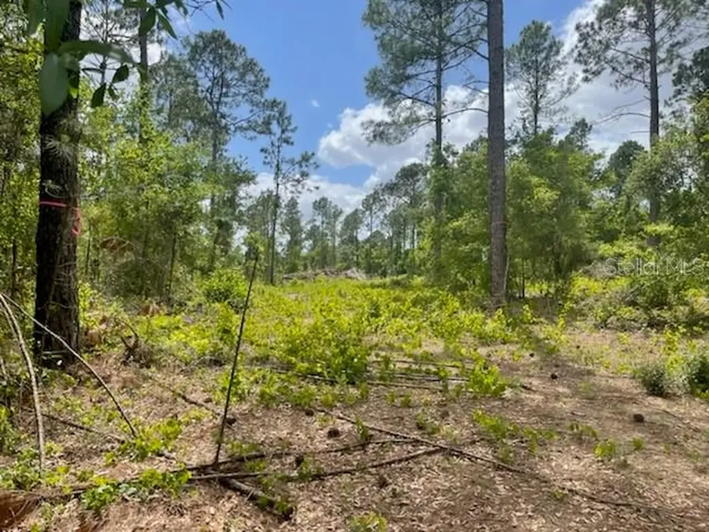 S Obrien Road Groveland FL 34736