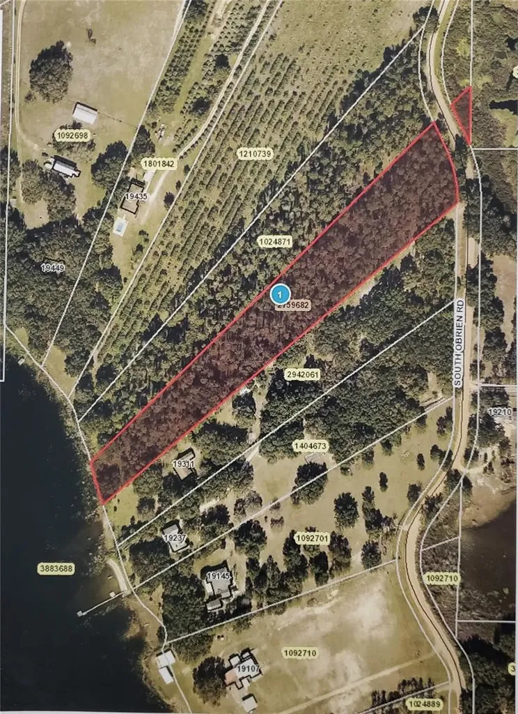 S Obrien Road Groveland FL 34736