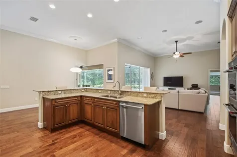15508 Avocetview Court Lithia FL 33547