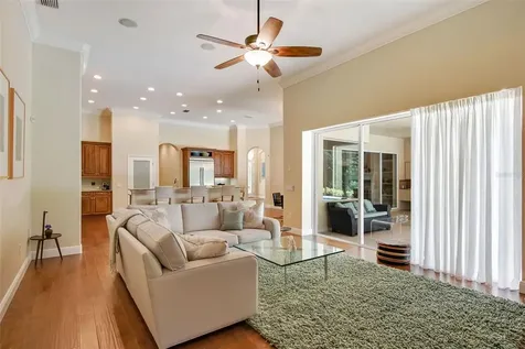 15508 Avocetview Court Lithia FL 33547