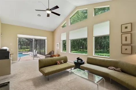 15508 Avocetview Court Lithia FL 33547
