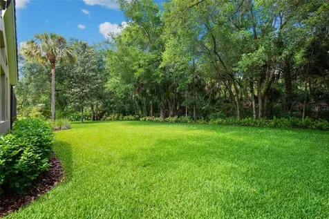 15508 Avocetview Court Lithia FL 33547