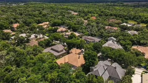 15508 Avocetview Court Lithia FL 33547