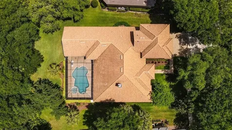 15508 Avocetview Court Lithia FL 33547