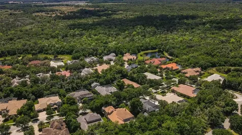 15508 Avocetview Court Lithia FL 33547