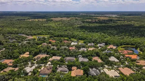 15508 Avocetview Court Lithia FL 33547