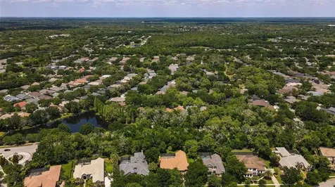 15508 Avocetview Court Lithia FL 33547