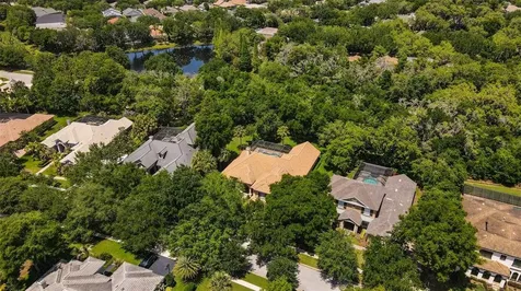 15508 Avocetview Court Lithia FL 33547