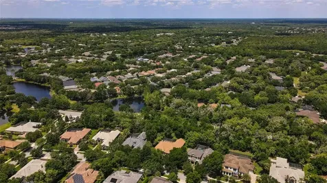 15508 Avocetview Court Lithia FL 33547