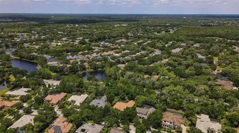 15508 Avocetview Court Lithia FL 33547