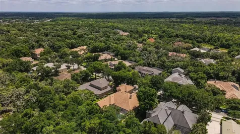 15508 Avocetview Court Lithia FL 33547