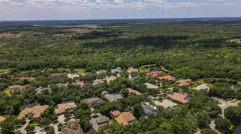 15508 Avocetview Court Lithia FL 33547