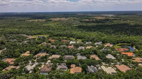15508 Avocetview Court Lithia FL 33547