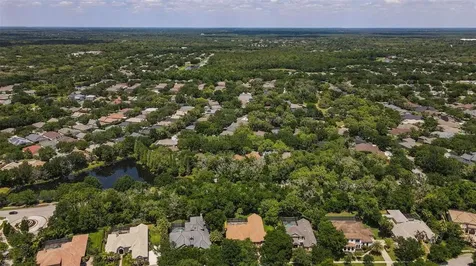 15508 Avocetview Court Lithia FL 33547