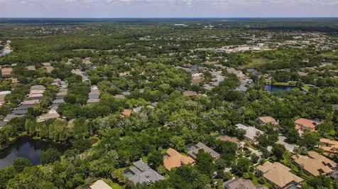 15508 Avocetview Court Lithia FL 33547