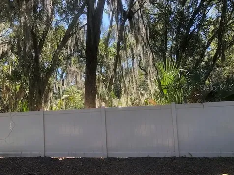 3331 Pleasant Willow Court Brandon FL 33511
