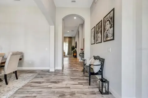 11960 Climbing Fern Avenue Riverview FL 33579