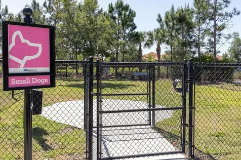 11960 Climbing Fern Avenue Riverview FL 33579