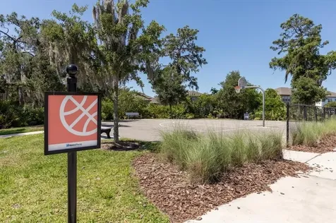 11960 Climbing Fern Avenue Riverview FL 33579