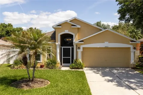 24831 Gun Smoke Drive Land O Lakes FL 34639