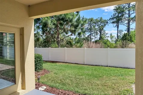 8603 Fiddleleaf Court Tampa FL 33647