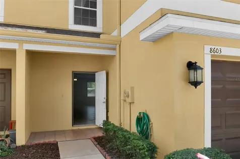 8603 Fiddleleaf Court Tampa FL 33647