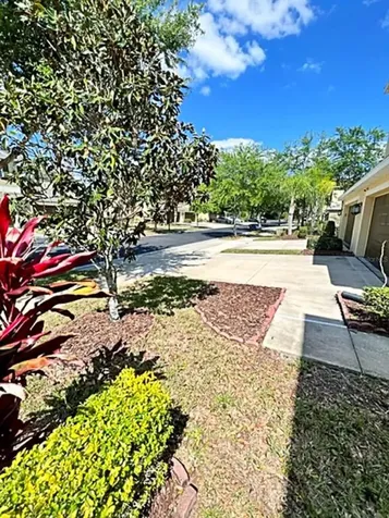 8603 Fiddleleaf Court Tampa FL 33647